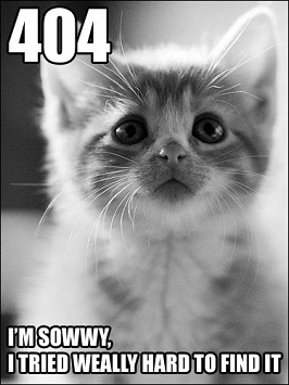 404