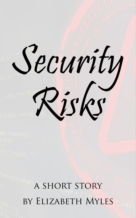 Security Risks